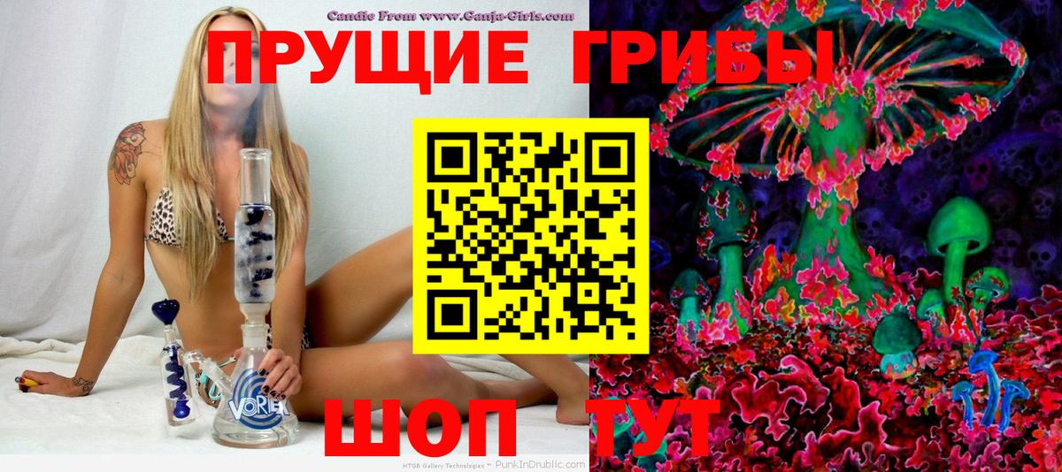 Псилоцибиновые грибы GOLDEN TEACHER Аргун