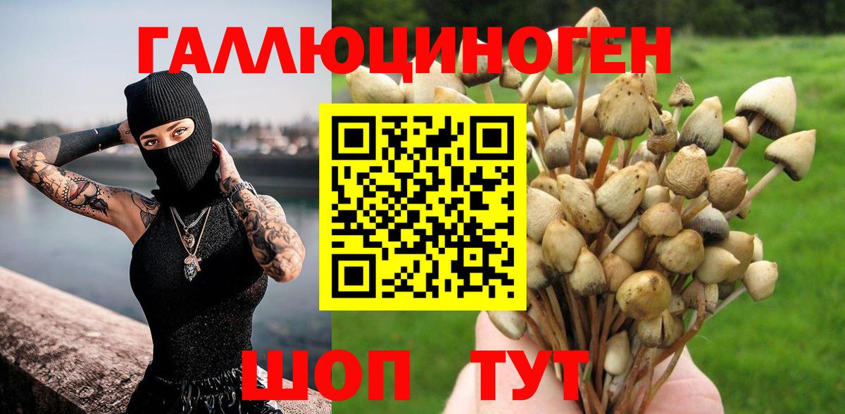 Аргун  Галлюциногенные грибы Psilocybe  Вход с VPN  Галлюциногенные грибы мицелий 